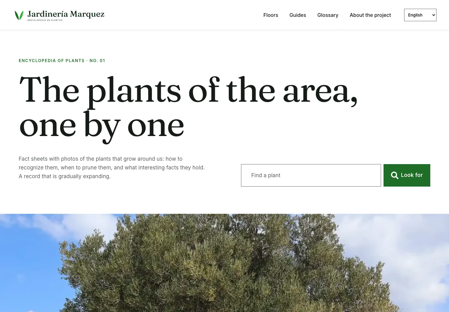 Jardinería Marquez homepage in English